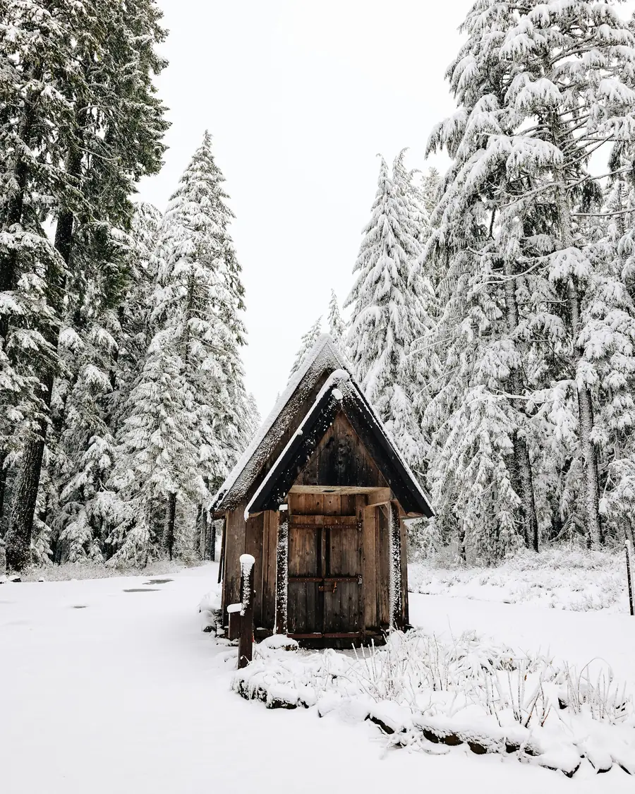 Small wooden tiny house between tall snow covered trees