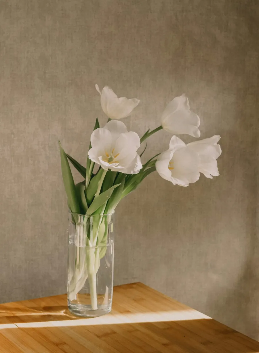 White tulips in a glass vase in front of a linen wall
