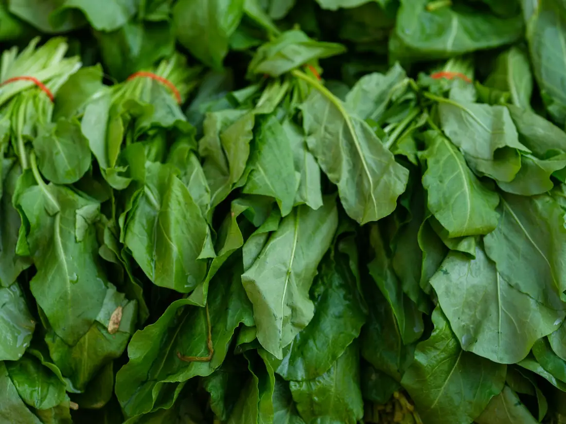 Bunches of fresh spinach on a market stall