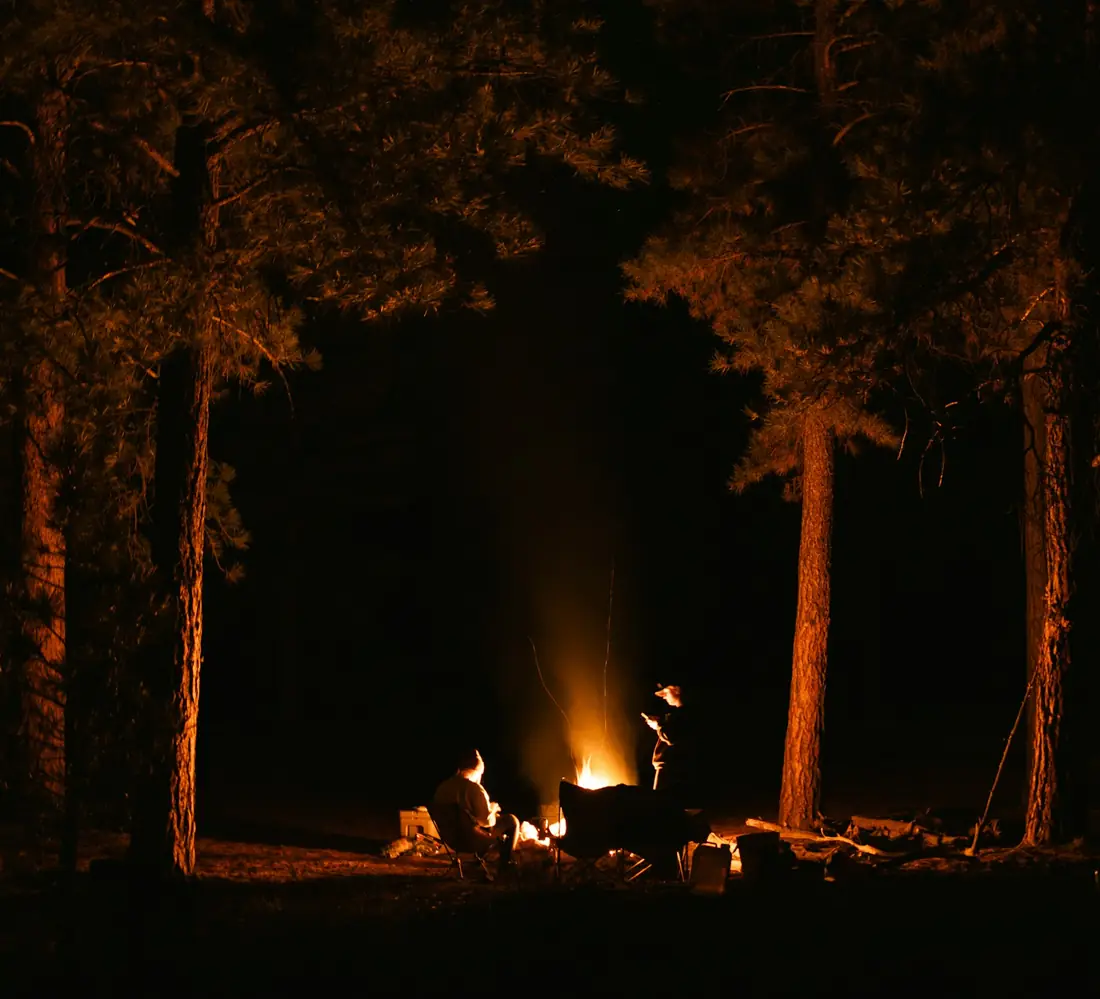 Ein Lagerfeuer zwischen Kiefern bei Nacht