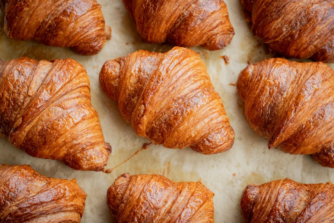 Rows of freshly baked croissants on baking paper