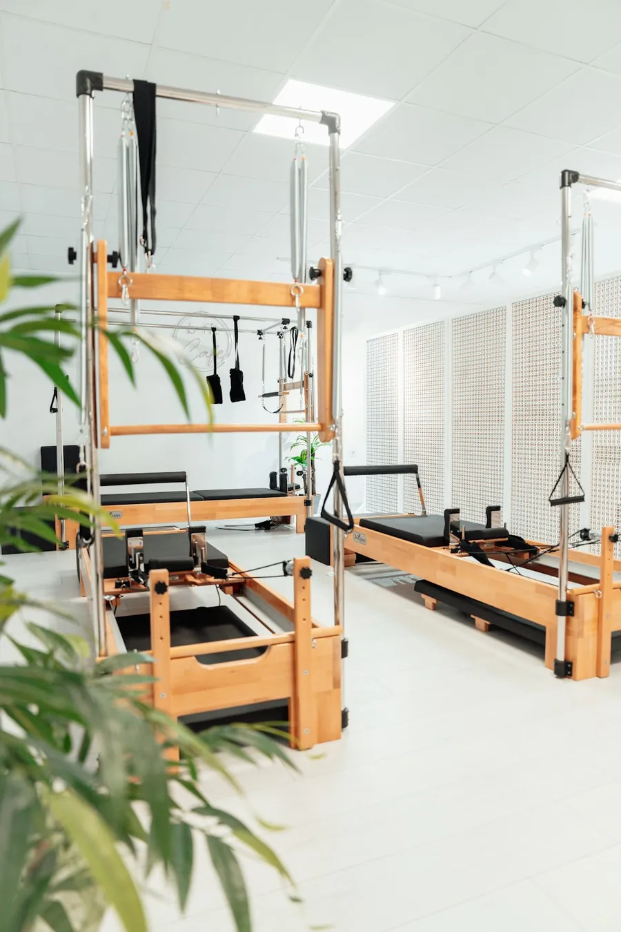 A bright studio room with plants and wooden reformer machines